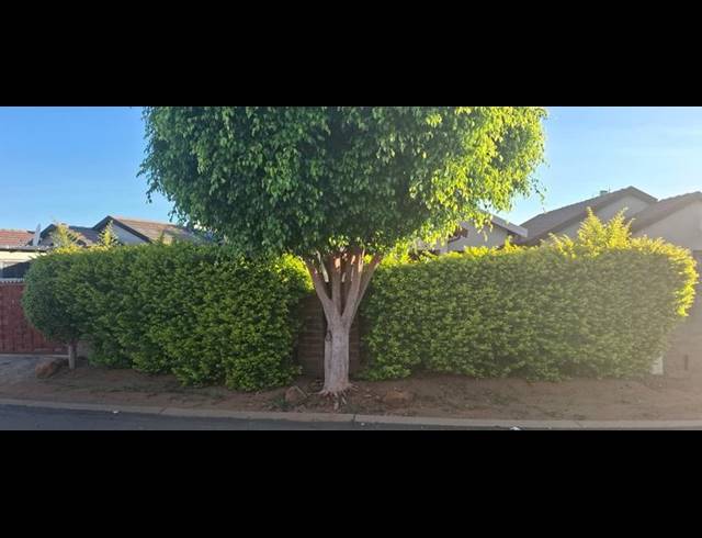 3 BEDROOM PROPERTY TO RENT IN SOSHANGUVE VV